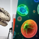 석유가 공룡 화석이라고? 반은 맞고 반은 틀린 이야기