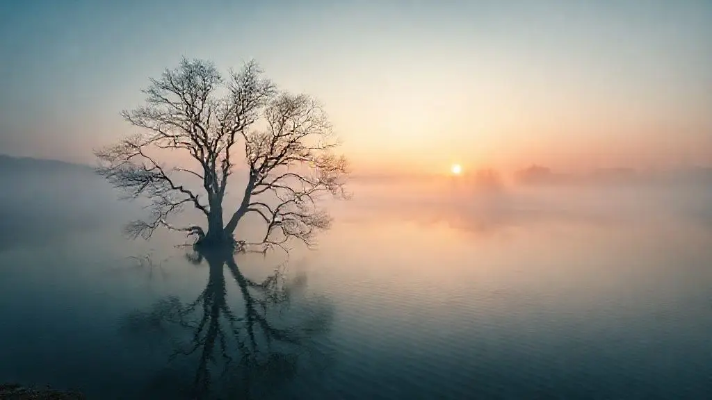 자연이 그린 겨울 수채화: 양평, 포천, 남양주