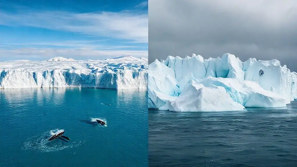결론: 얼음의 자식, 인류의 미래는?