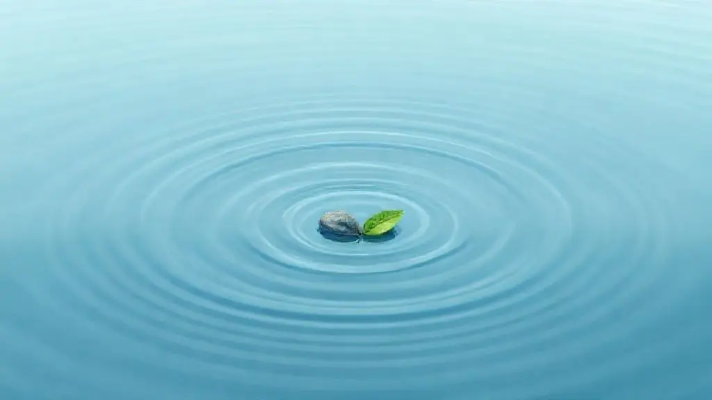 1. 파동의 기본, 소리는 어떻게 전달될까?