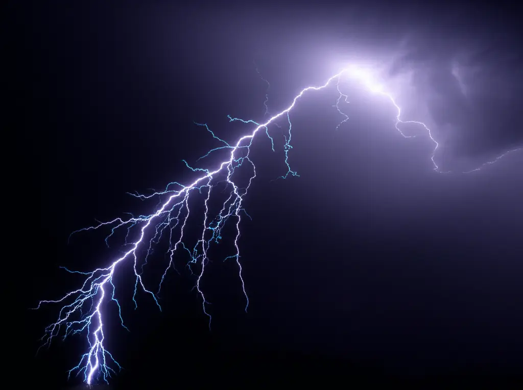 2. 모든 것이 멈춰버린 세계