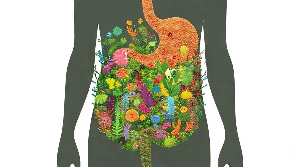 장 속에 숨겨진 두 번째 열쇠: 건강한 미생물 생태계