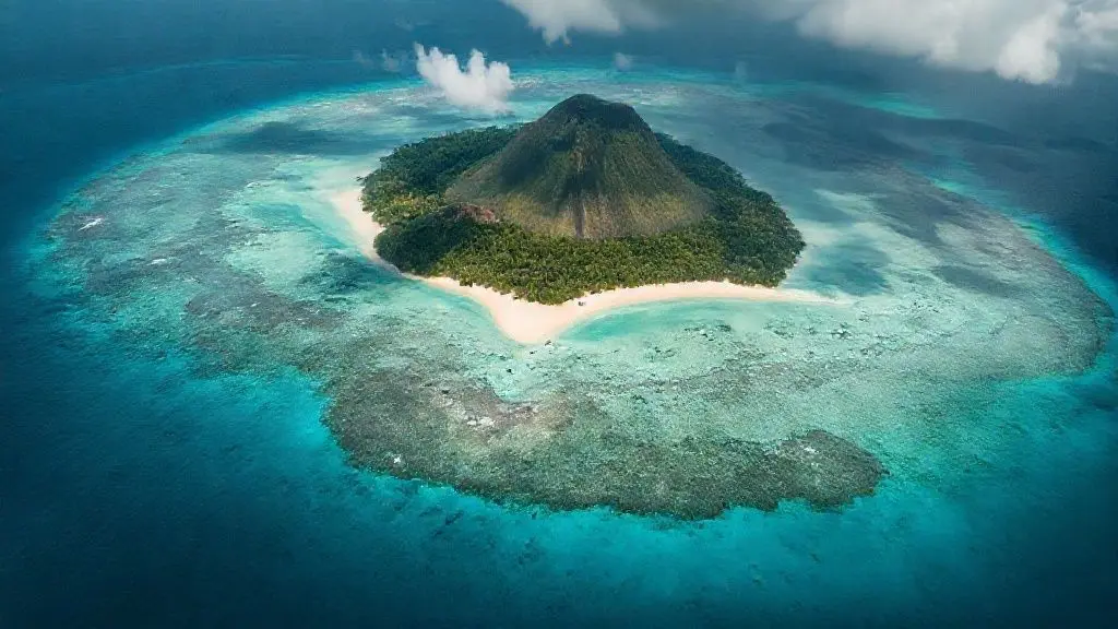 아름다움 뒤에 감춰진 끔찍한 진실