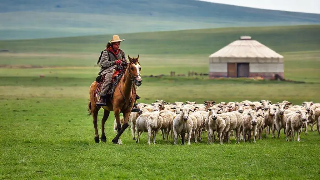 게르와 가축, 끝나지 않는 유목민의 노동