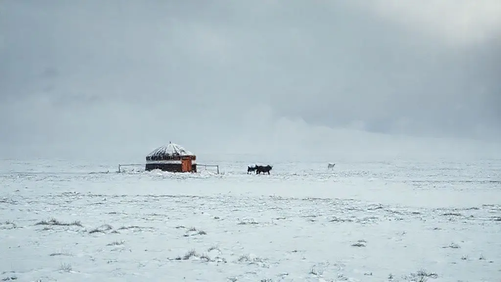 혹독한 자연이 만든 강인한 생존자들