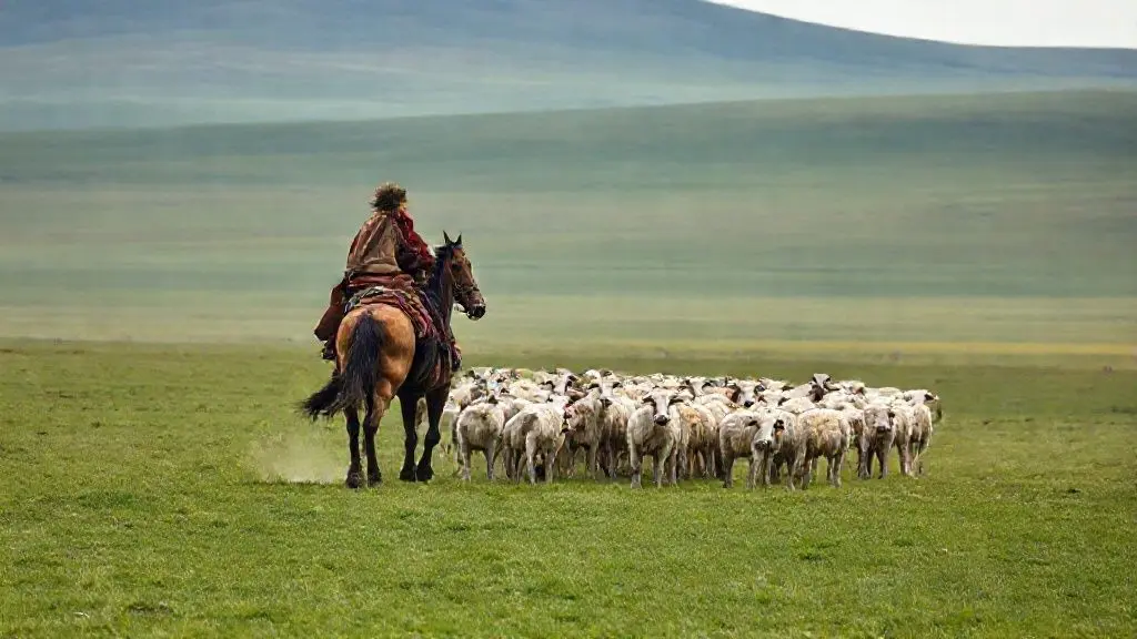낭만 속에 숨겨진 고된 일상: 유목민의 삶