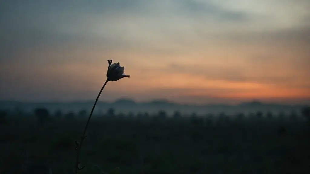 서론: 캄보디아, 피로 물든 대지의 비극