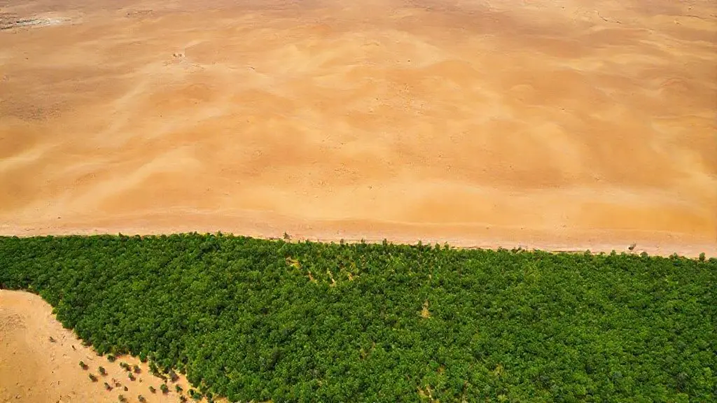 4. 녹색 기적의 현장: 한몸 그린벨트와 변화하는 삶