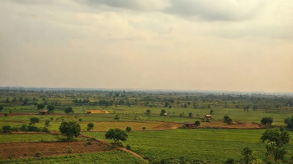 아프리카의 보석에서 나락으로: 비극의 시작