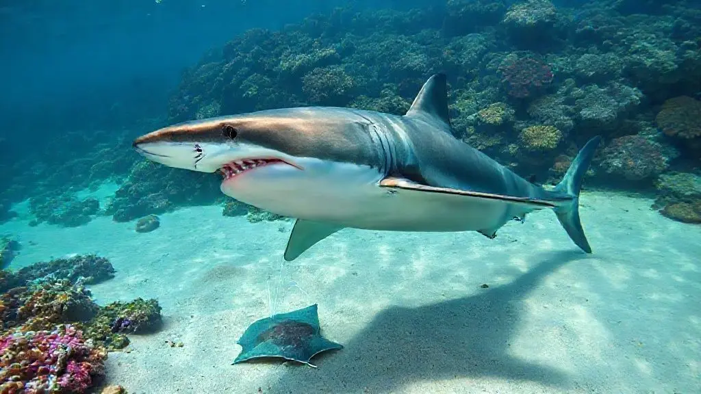 2. 미스터리한 탄생의 비밀과 놀라운 사냥 전략