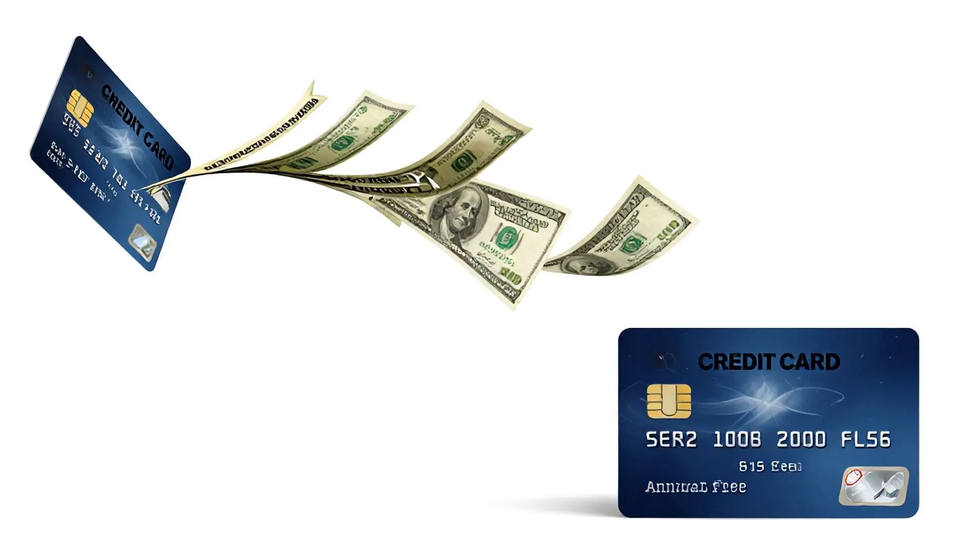 신용카드는 '빚'입니다: 카드사의 첫 번째 수익원, 가맹점 수수료와 연회비