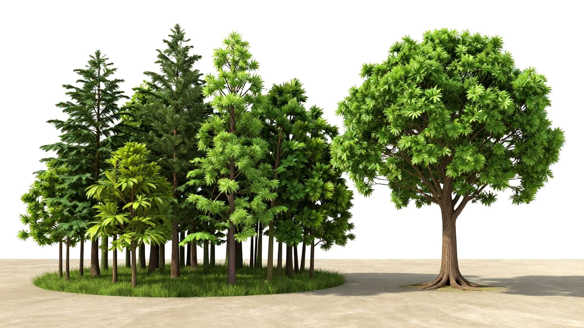 건강한 경제 생태계를 위한 우리의 선택