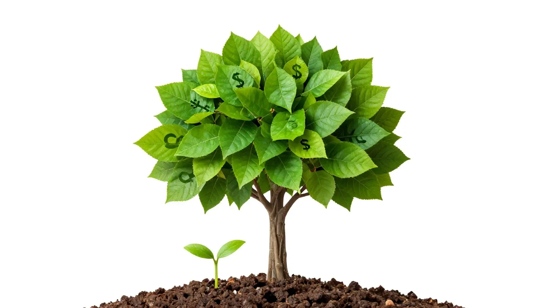 지금 시작하세요! 당신의 미래가 바뀝니다