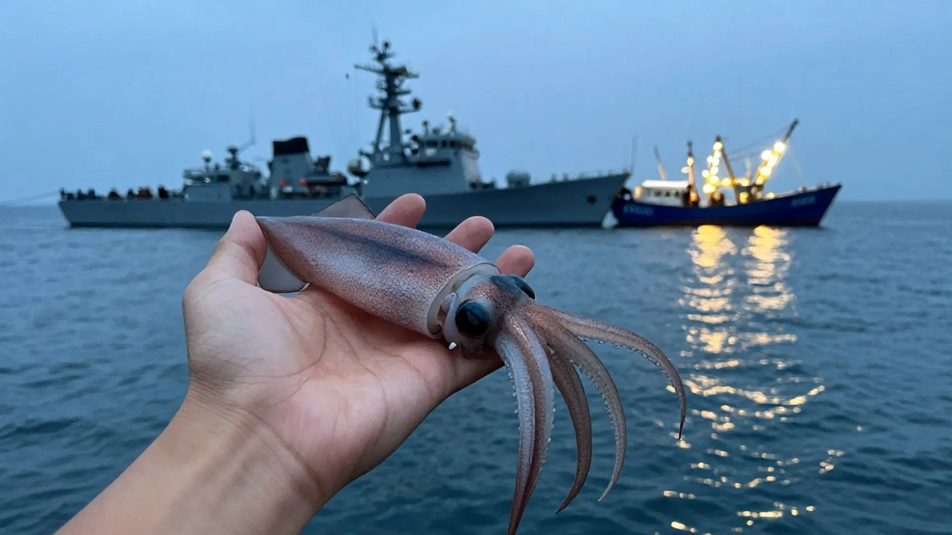 오징어를 지키기 위한 노력, 그리고 국제적 과제