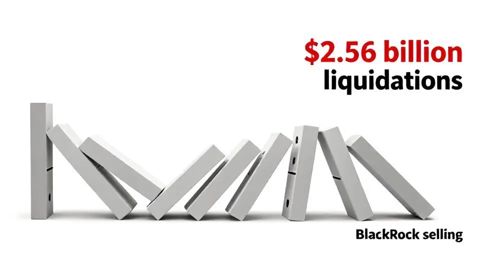 3. 레버리지 청산의 도미노 효과: 롱 스퀴즈의 악순환