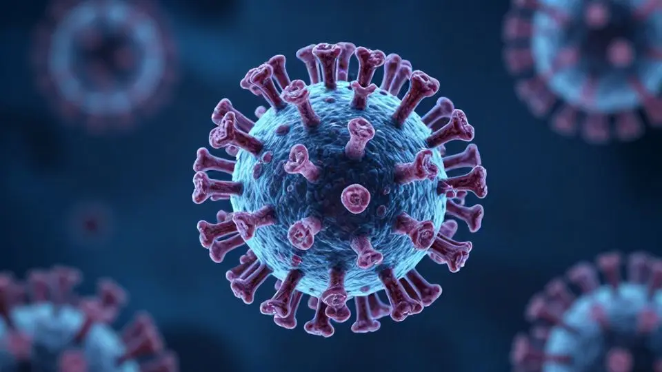 치명적인 니파 바이러스: 왜 위험한가요?