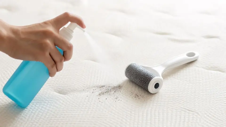 매트리스 세척, 스팀보다 에탄올과 테이프 롤러!