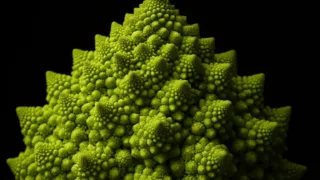 A Romanesco broccoli with fractal patterns under professional studio lighting, showing intricate geometric details