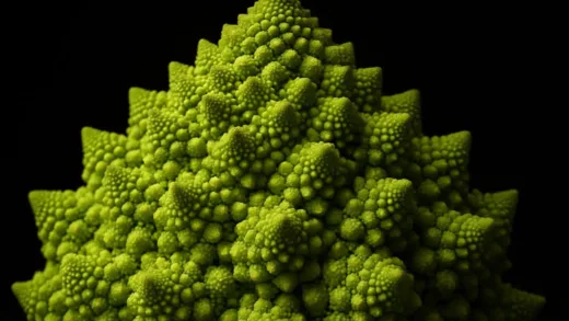 A Romanesco broccoli with fractal patterns under professional studio lighting, showing intricate geometric details
