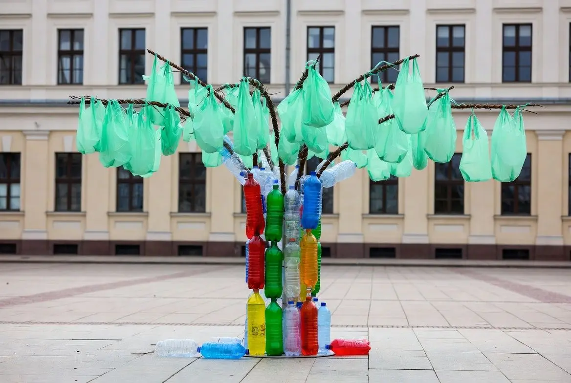 📈 비디클린의 지속적인 영향과 남겨진 과제