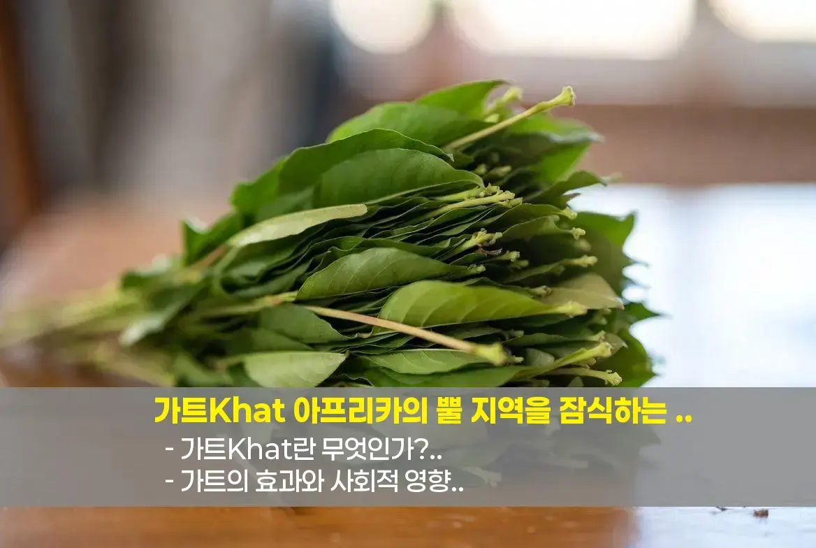 🔍 가트(Khat)란 무엇인가?