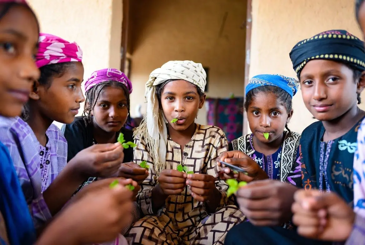 💡 가트의 효과와 사회적 영향