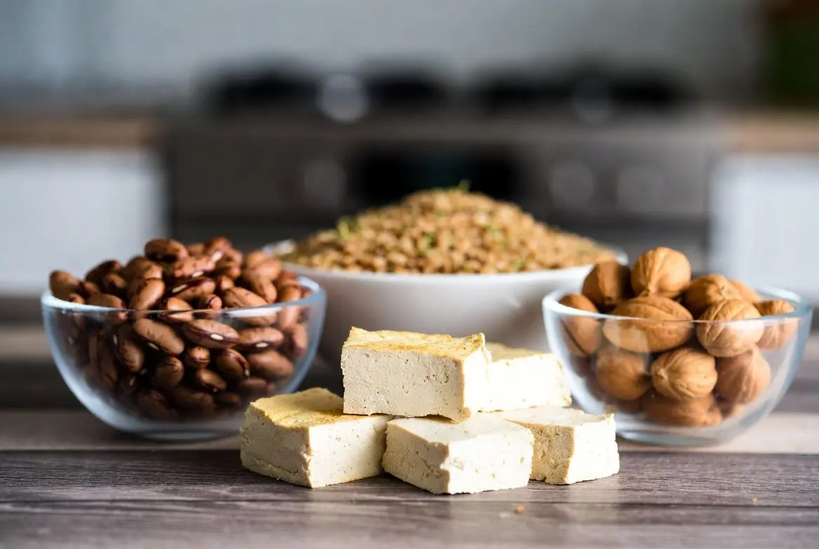 ✨ 고기 대신 콩팥을 살리는 대체 단백질