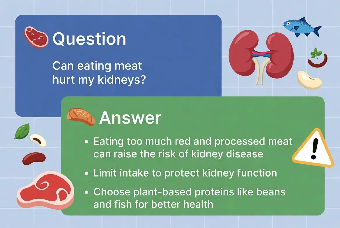 ✅ 핵심 요약 Q&A