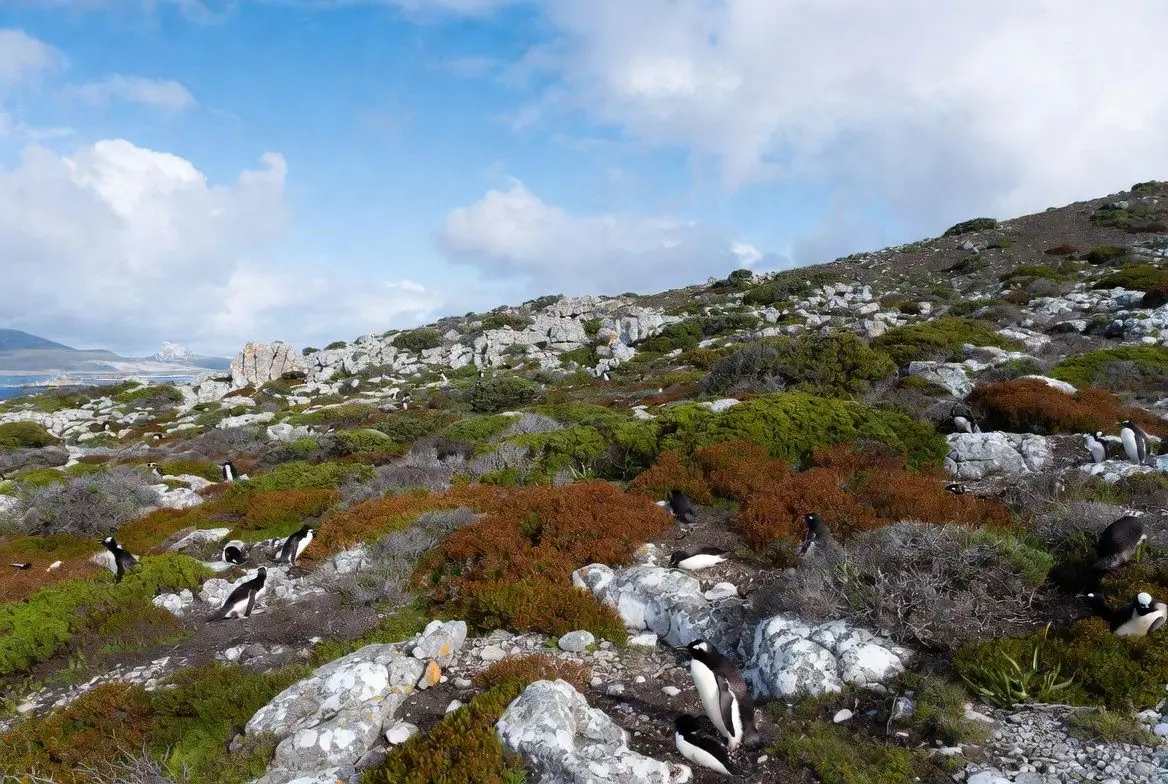 📝 인간 활동과 성공적인 생태계 회복
