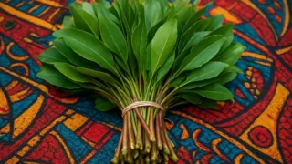 Fresh green khat leaves bundled together on a vibrant African market table