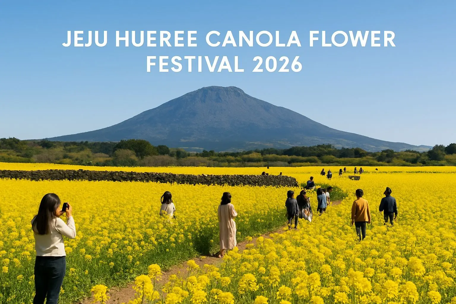 🌼 제주에서 가장 먼저 만나는 봄, 휴애리 유채꽃 축제