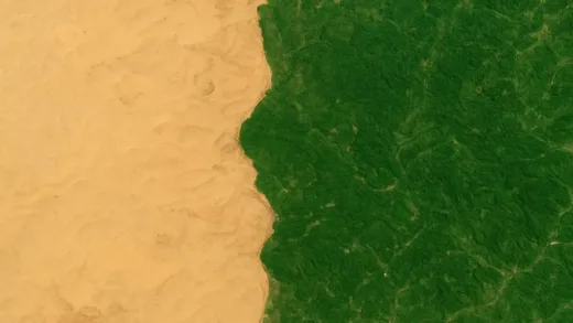 A satellite image showing a stark contrast between a barren yellow desert and a newly green, reforested area in China, symbolizing desertification reversal.