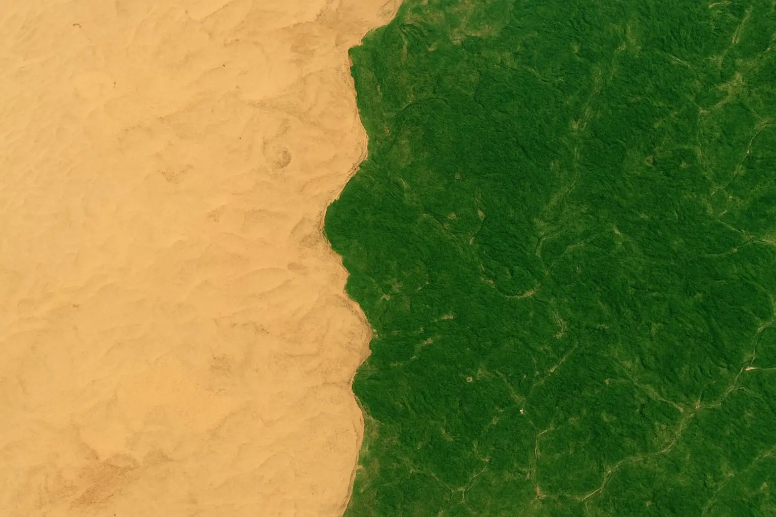 🔍 황사의 역습, 그리고 예상치 못한 변화