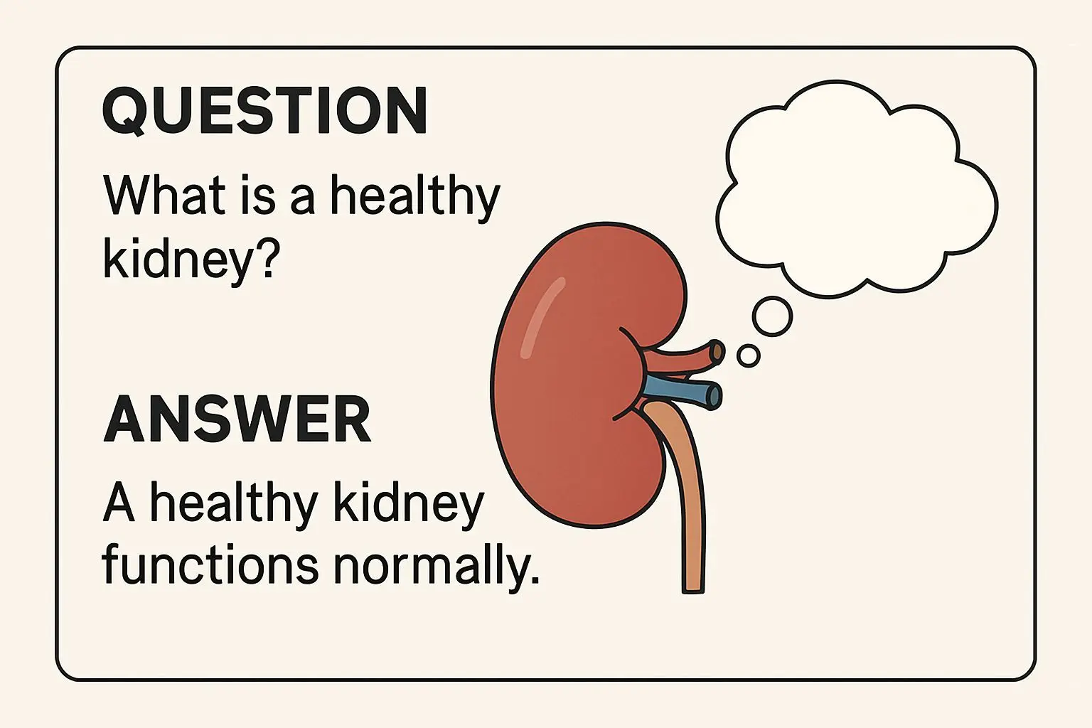 ✅ 핵심 요약 Q&A