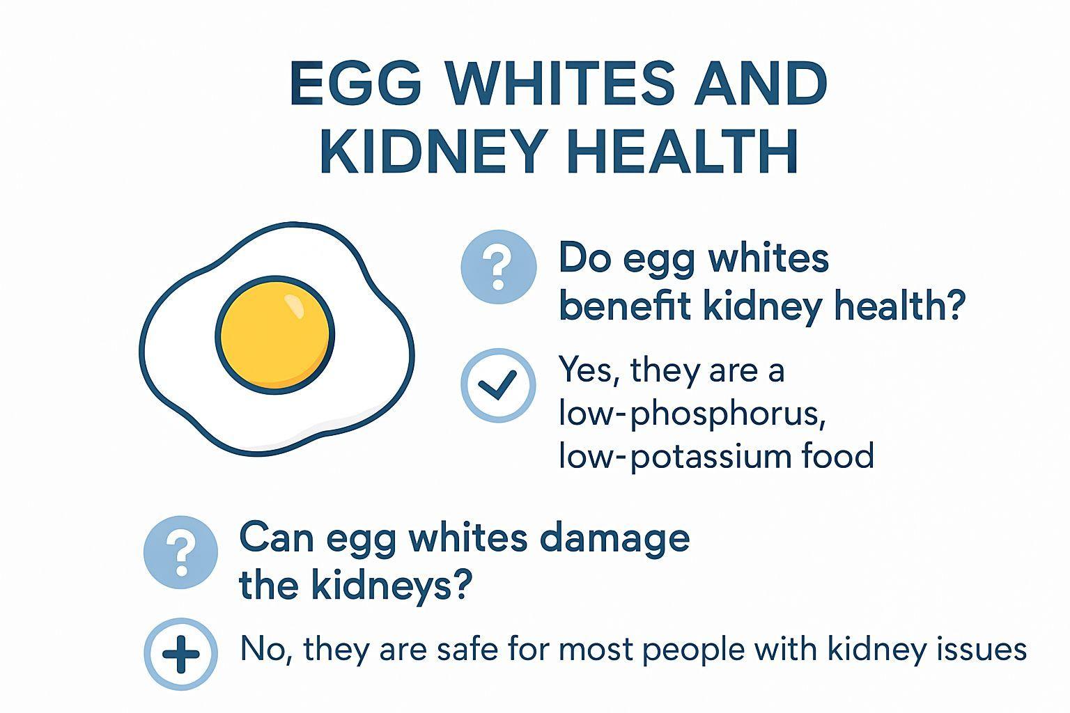 ✅ 핵심 요약 Q&A