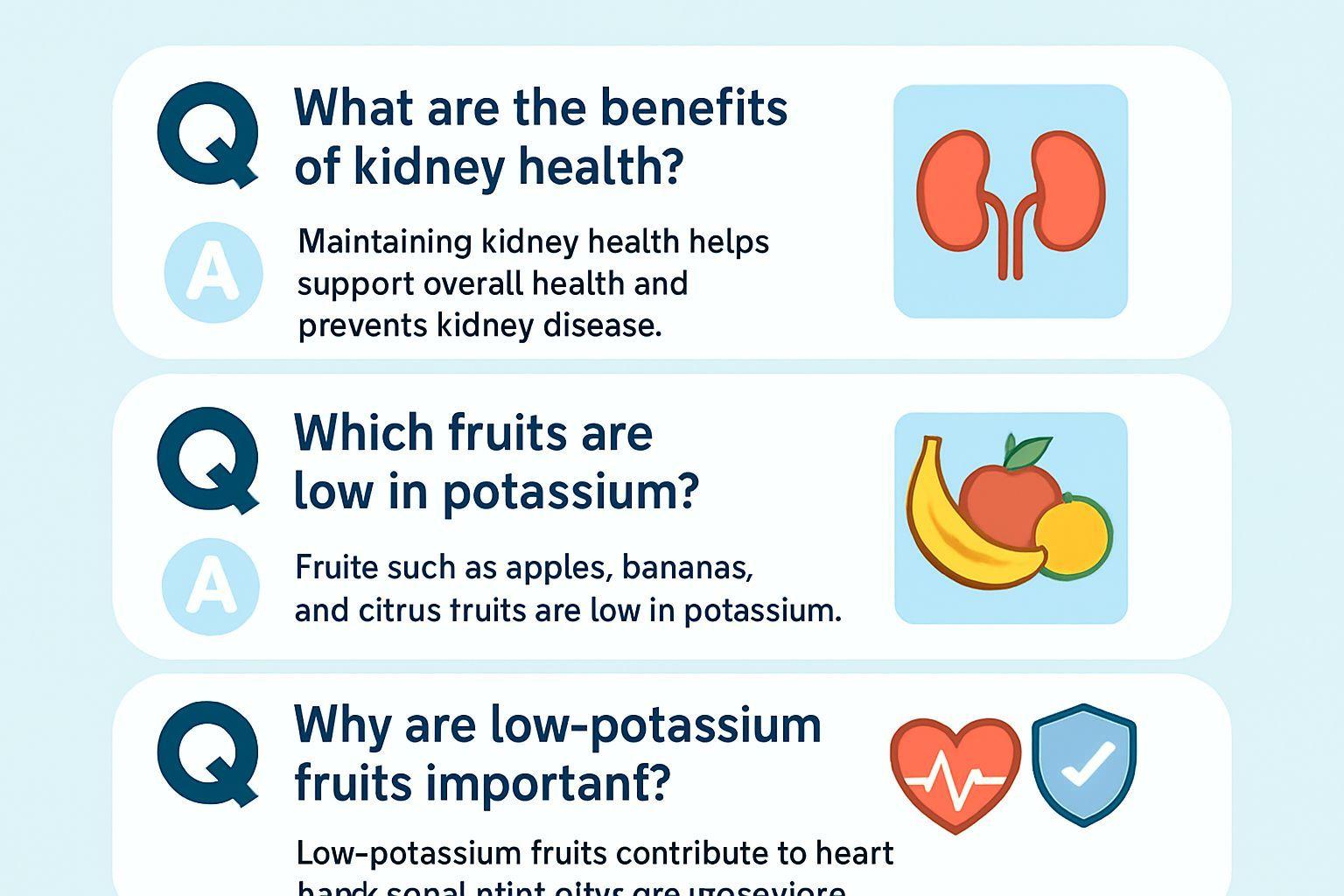 ✅ 핵심 요약 Q&A