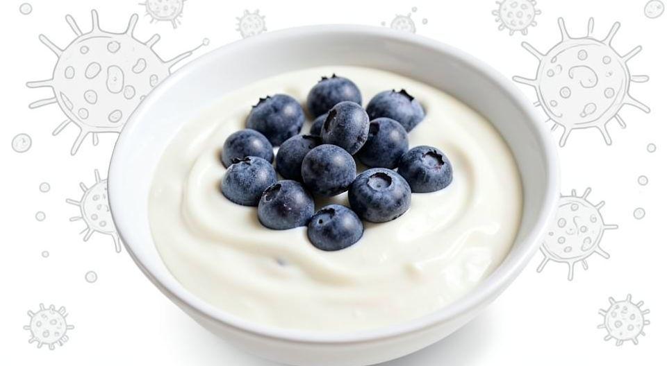 💰 냉동 블루베리 + 플레인 요거트, '장' 건강 시너지 폭발!