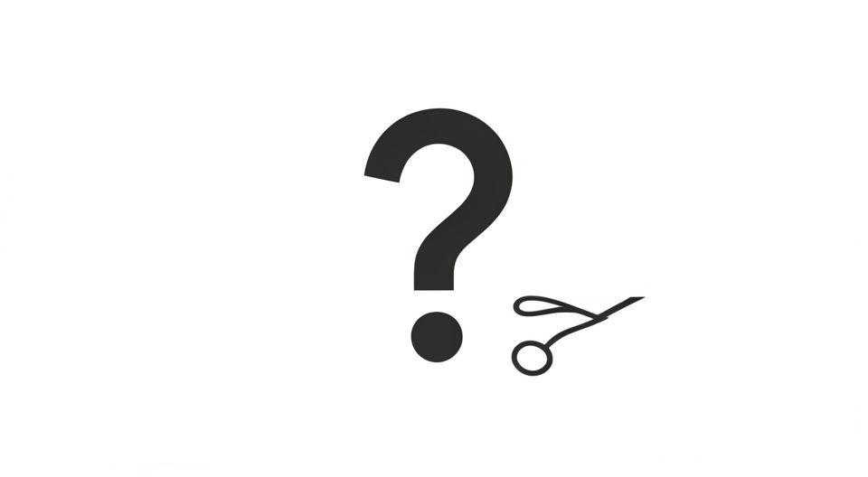 ✅ 핵심 요약 Q&A