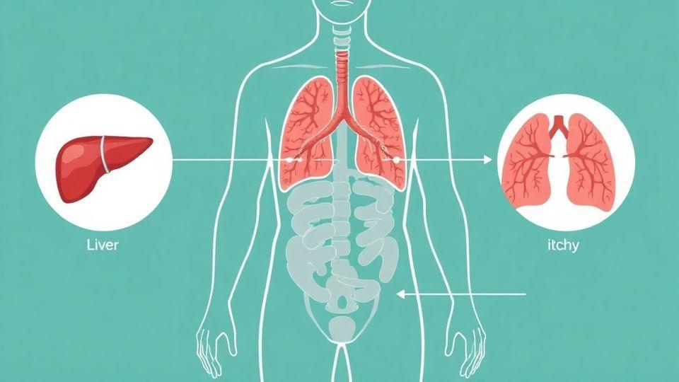 🔍 간, 신장, 폐의 가려움증 경고 신호