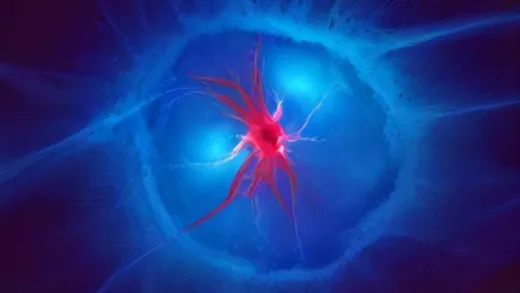 A complex network of glowing blue and red blood vessels inside a human body, symbolizing health and vital flow. The image should be clean and medical illustration style.