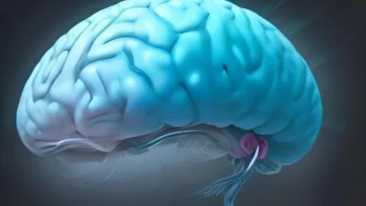 A highly detailed, modern, and clean illustration of a brain with specific neurons highlighted, subtly showing a "switch off" action. The style is scientific yet friendly, suitable for a Naver blog.